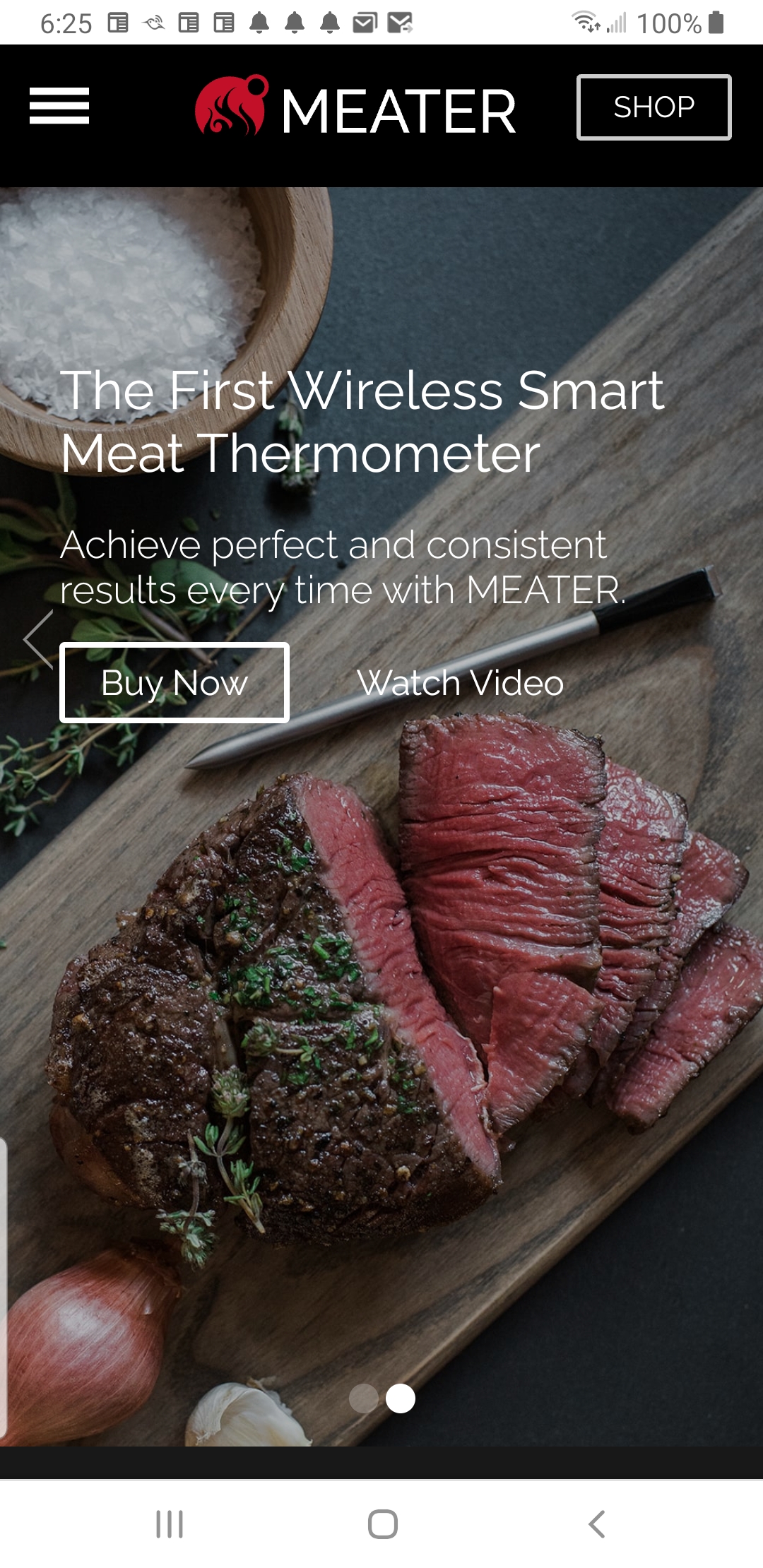 Best Meat Thermometer in 2020?  Fireboard 2 Drive Review 